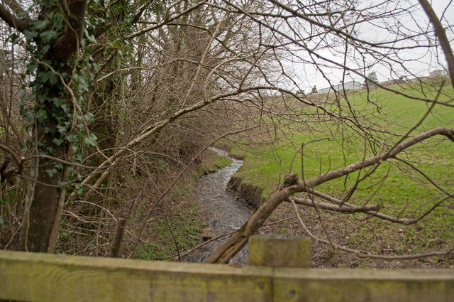 Looking downstream from a bridge on Coney Gut near Youldon House
