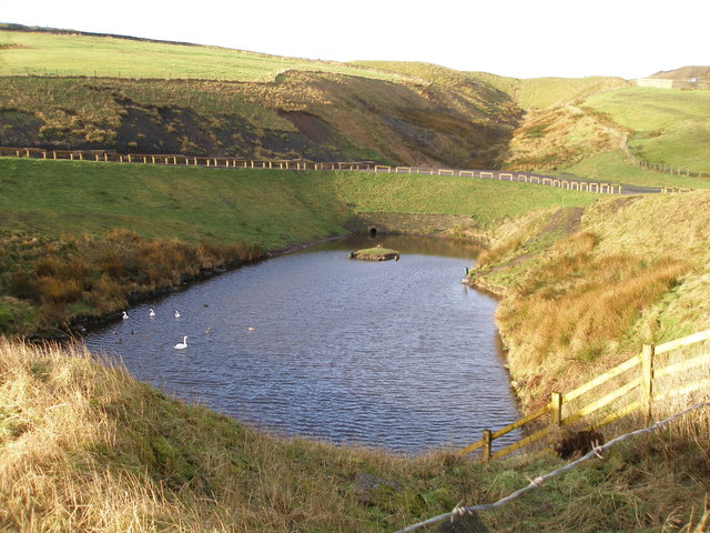 The pond at Holden Gate