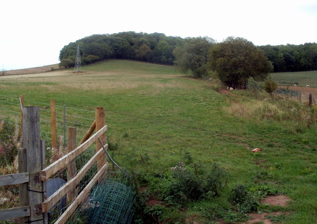 Field and Wilds Wood viewed from a level crossing near Pontrilas