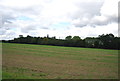 Woodland across farmland