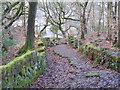 The old line of Birks Lane, Walsden