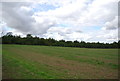 Farmland and woodland