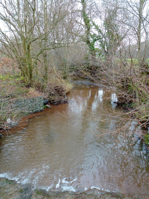 The Cwm Brook