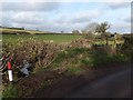 Footpath to Ponsford Lane