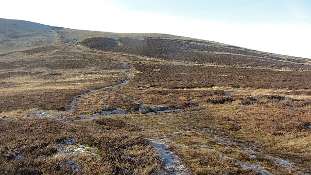 Paths on Harbour Hill