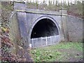 Dunton Bassett Tunnel