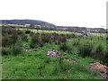 Grass field with tyres, Balmichael