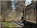 SD7914 : East Lancashire Railway, Summerseat Cutting by David Dixon