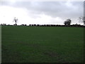 Farmland, Crag Hill