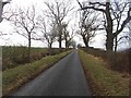 Tree lined road, Nottylees