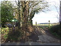 TQ5261 : Darent Valley Path, Shoreham by Malc McDonald