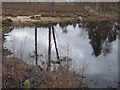 Pond on Farnham Heath