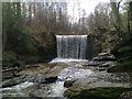 Weir/waterfall in Plas Power Woods near Bersham