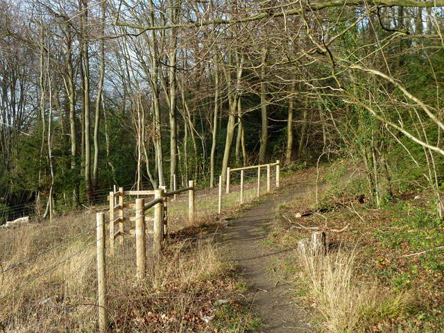 Saltbox Hill nature reserve