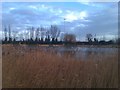 Angling lake, Stone Marshes