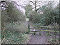 Stile on path in Langdon nature reserve