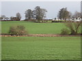 Farmland, Wormald Green