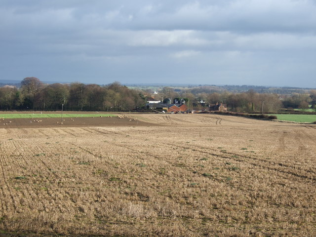 Farmland towards Thorpe Farm