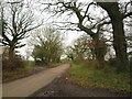 Lane at Underdown Moor