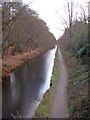 Basingstoke Canal from Deepcut Bridge