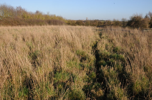 Rough grazing near Pulley Farm