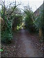 Footpath from Stockbridge Road to the Chichester Canal