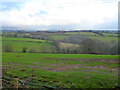 West Herefordshire countryside