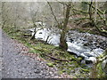 Part of the Afon Nedd Fechan