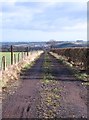 Farm track, North Rigton