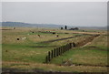 TQ7579 : Fence and ditch, Cliffe Marshes by N Chadwick