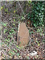 Broken milepost, Shute End