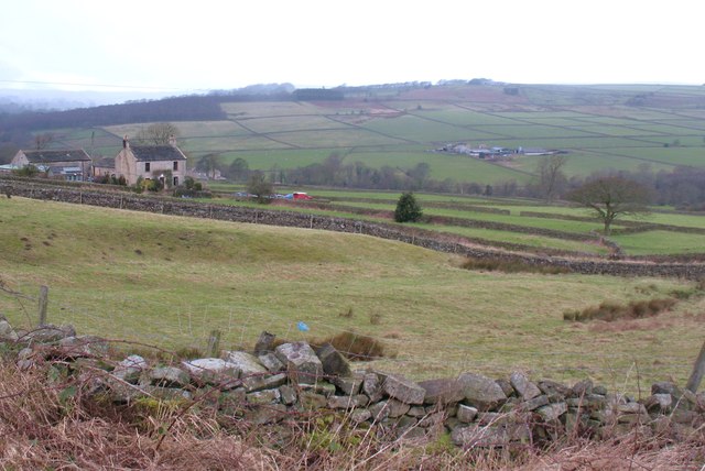 Hillside at Holly Tree Farm © Gordon Hatton :: Geograph Britain and Ireland