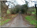 Entrance road to Little Ancrehill Farm near Rockhill