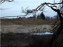 SX8984 : Quarry beside Veitch's Plantation seen from public footpath by David Smith