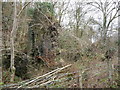 Remnant of a ruined building beside the Afon Nedd Fechan