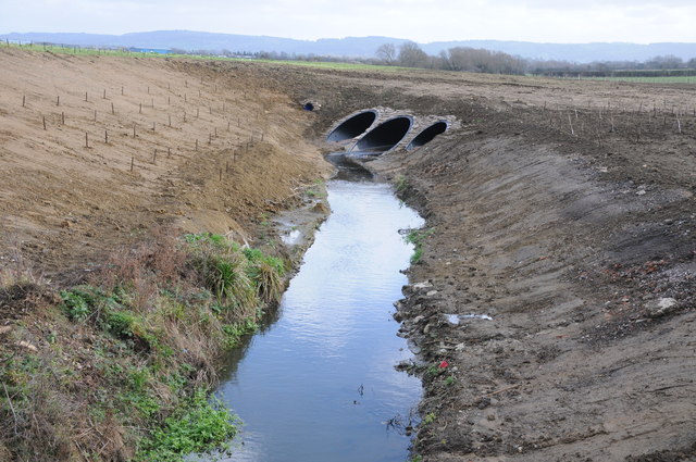 Norman's Brook