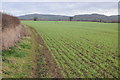 Arable land near Badgeworth