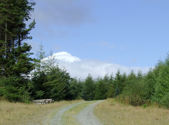 Forestry road in the Dalarwen Plantation near Pen y Gurnos, Ceredigion