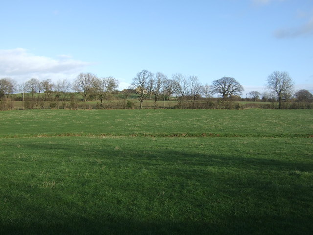 Farmland off Pye Lane