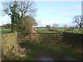 Bridleway off Pye Lane