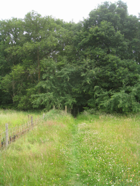 Approach to Black Wood