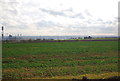 Crops, New Barn Farm