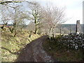 Path near Bryn-bwch farm