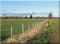 Grassy track off Green Dike Lane