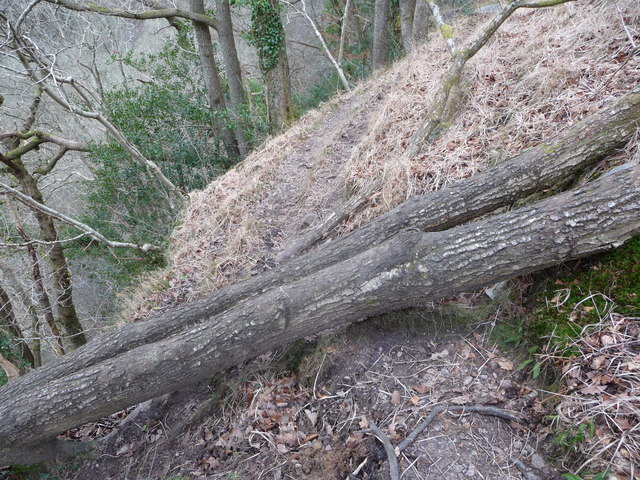 Path high above the Afon Mellte