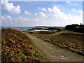 Footpath near Rushy point Tresco