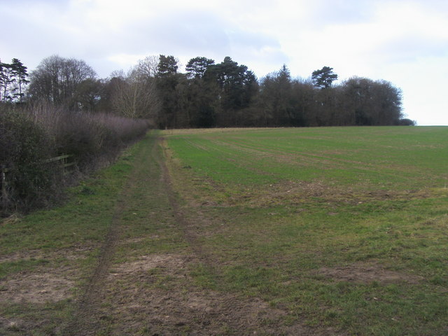 Footpath to Ramsden