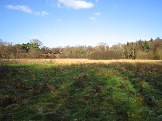 Field