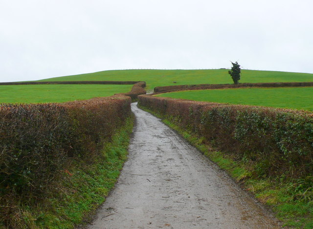 The Track to Loscombe
