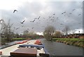 Cruising down the Avon